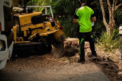 Stump Grinding and Removal